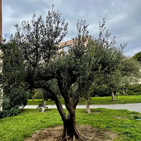 Tropez Apartamento Saint-Tropez